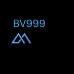 BV999 Game