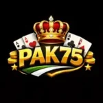 PAK75-Game