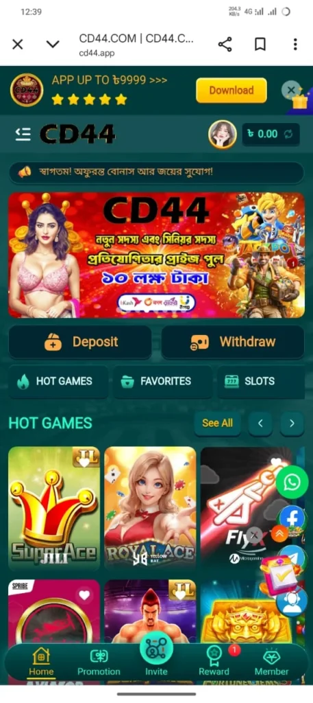 CD44Game 