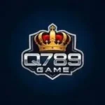 Q789 Game